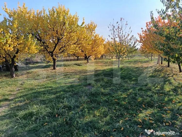 Teren Intravilan 3325 mp Magurele Prahova , Oportunitate ! - 2