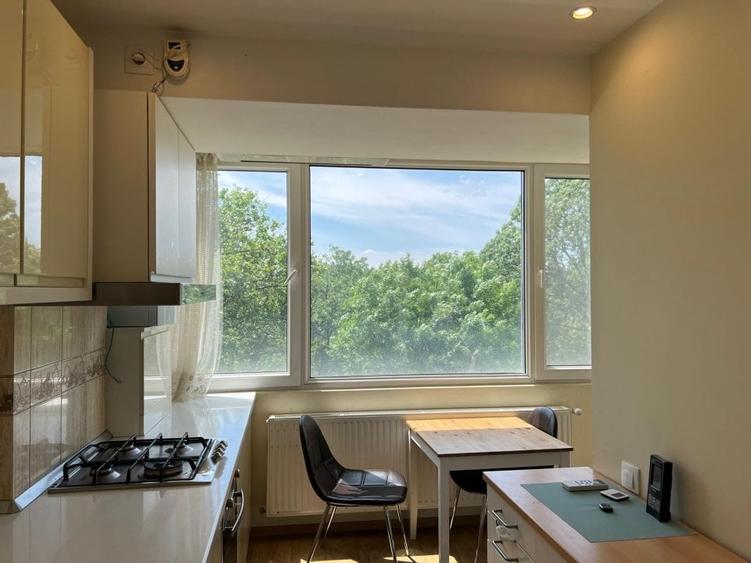 Apartament 4 camere Lux cu vedere in Parc Cismigiu - 13