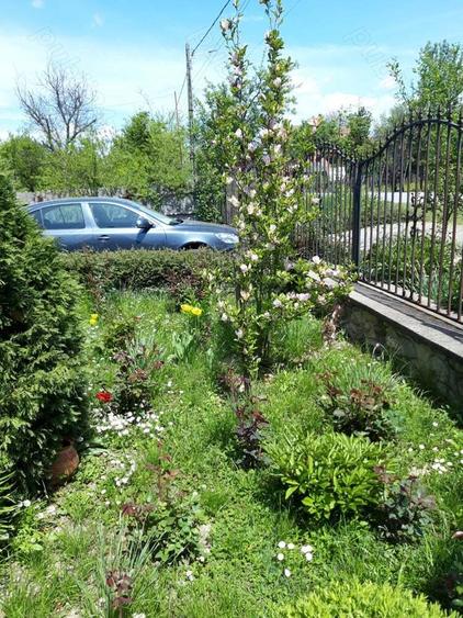 Casa de vanzare in ciuperceni Stramba Vulcan Gorj - 6