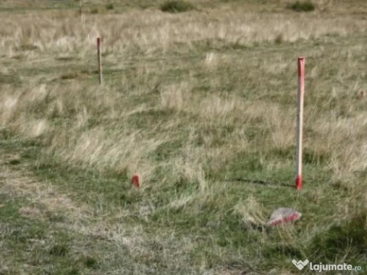 Teren intravilan zona Paltinis - 4