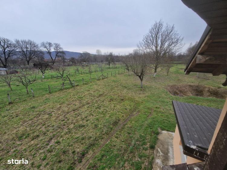 teren munte - Domnesti Arges , 25km de C. de Ag - 2
