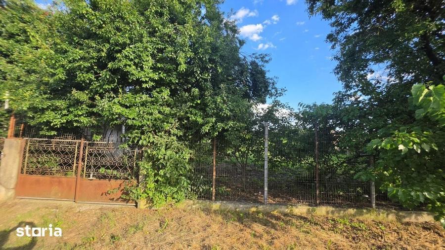 Casa cu poten?ial, 4 camere, langa padure-Jud Giurgiu-Mihai Bravu. - 3
