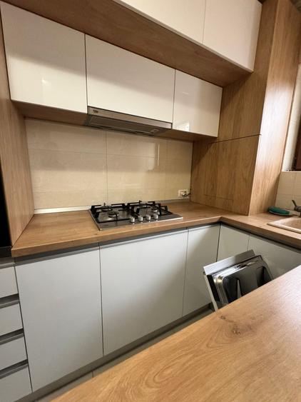 Ap. 2 camere CITY PARK MALL- 56mp mobilat, utilat - vedere spre Parcul Tăbăcărie - 9