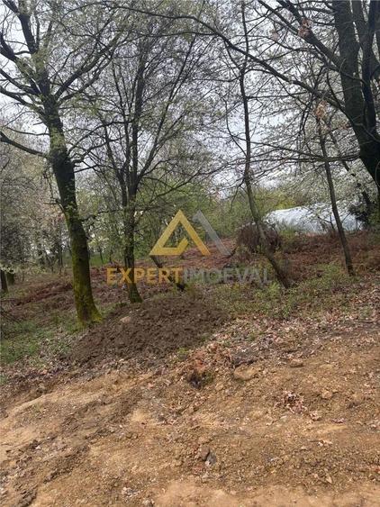 Teren intravilan in spate la Castel Transilvania 1.000mp - 3