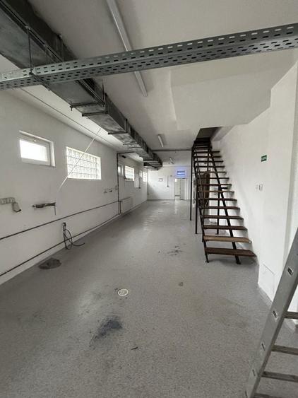 Inchiriez casa P+1E cu Hala 1667 mp Teren- 27FS in zona Mehala - 4