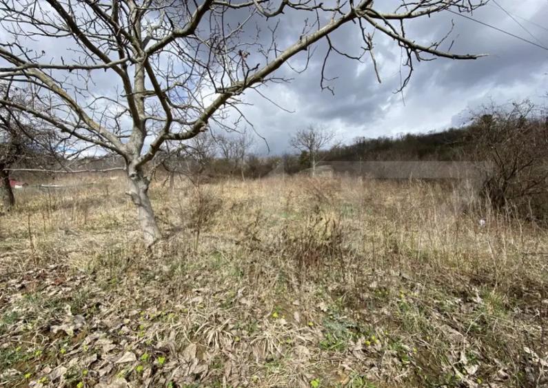 Teren intravilan in suprafata de 2000 mp, zona Episcopiei - 3