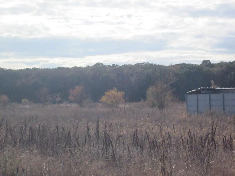 Teghes-Caragea Voda - 6