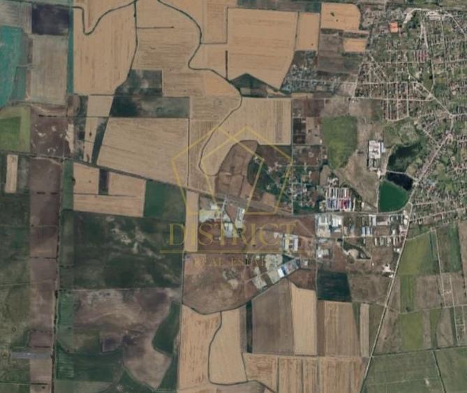 Teren extravilan la DN pentru PUZ | Sacalaz - 4