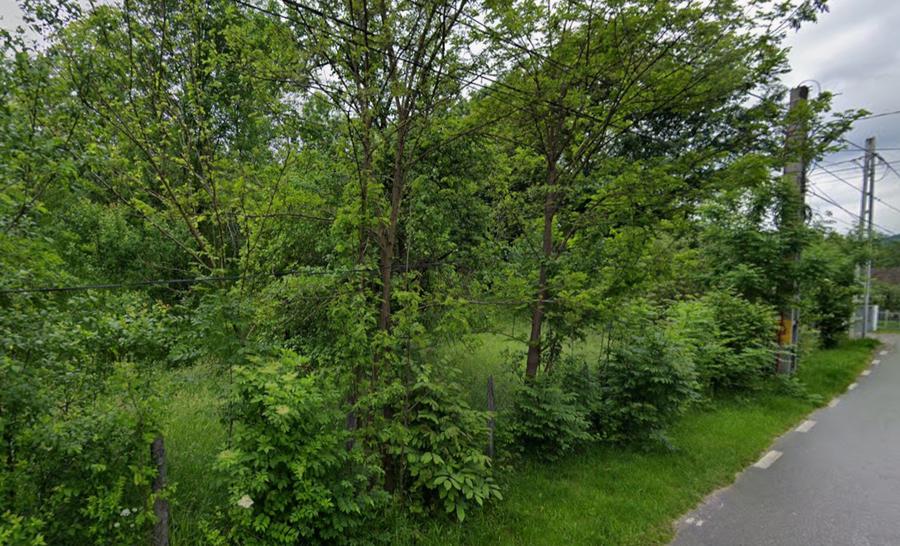 Teren intravilan 3.788 mp, deschidere 39 m, Fieni, sat Costești, jud. Dâmbovița - 4