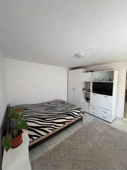 Proprietar vand casa 4 camere Palazu Mare - 4