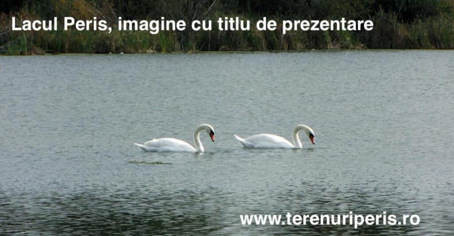 Teren Peris 500mp IN RATE 500 teren langa Ciolpani, Izvorani - 6