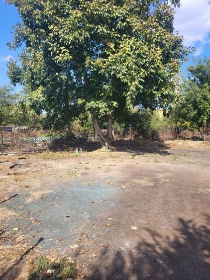 Teren intravilan zona Viile Noi - 8