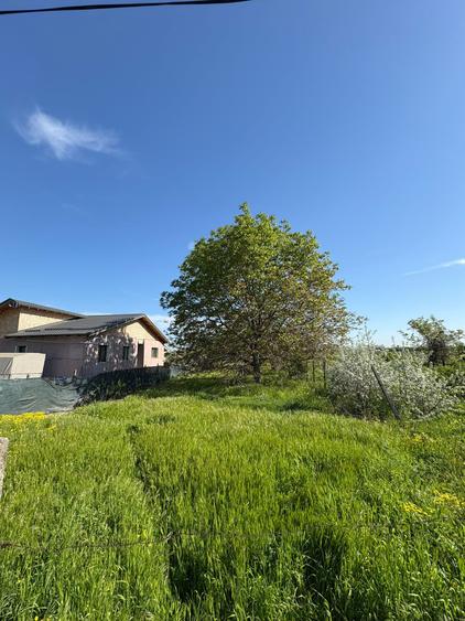 Teren intravilan 1090 mp - Campineanca - 1