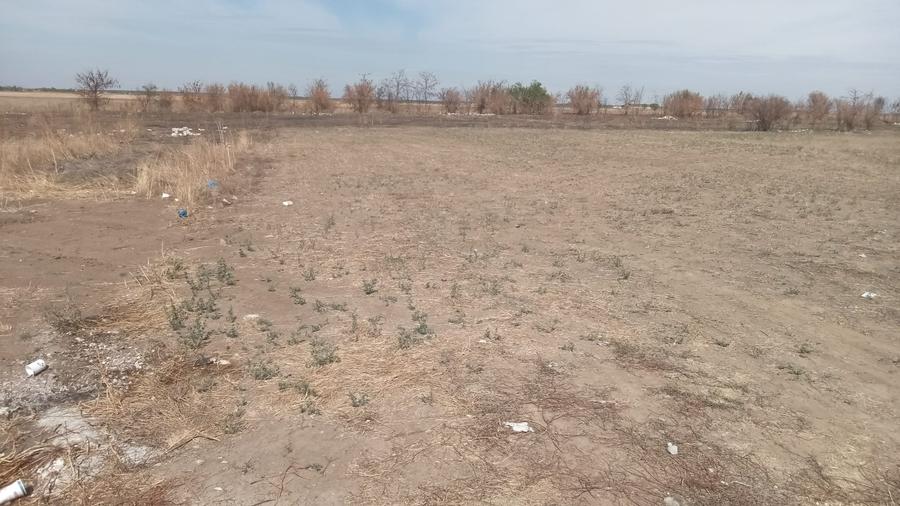 Teren intravilan – 1000 mp, Comuna Fundeni (limita Ilfov – Călărași) - 1