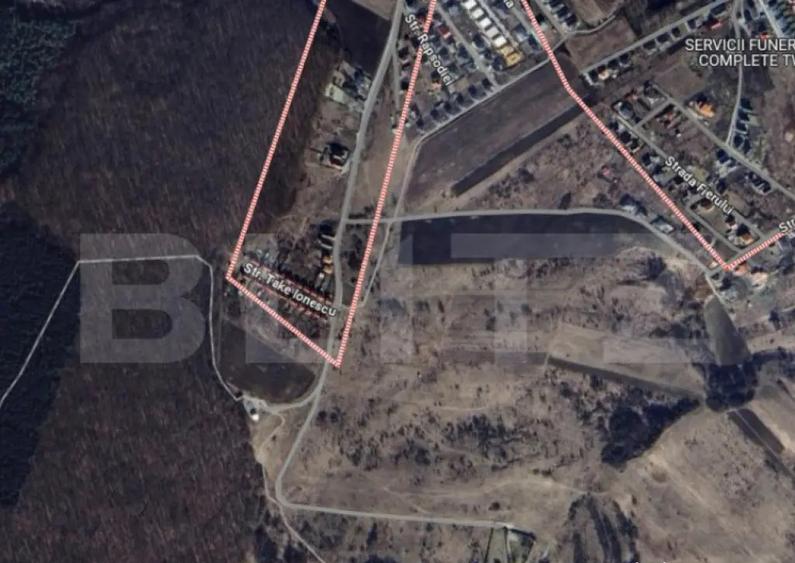 Teren intravilan de investitie 9200 mp front 28 ml - 1