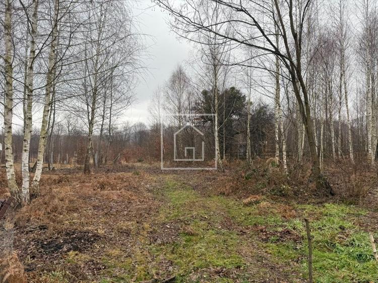 Teren intravilan 520 mp Valea Avrigului ideal cabana A-frame - 4