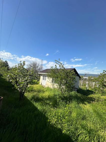 Vand loc de casa - 7