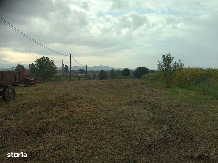 Teren intravilan de vanzare - 2