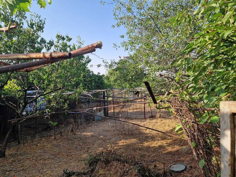 Particular: 1000mp teren deschidere lac Tasaul cu casa veche - 6