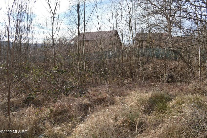 Valea Ursului - DN 7, Teren Stradal 2744 mp! - 9