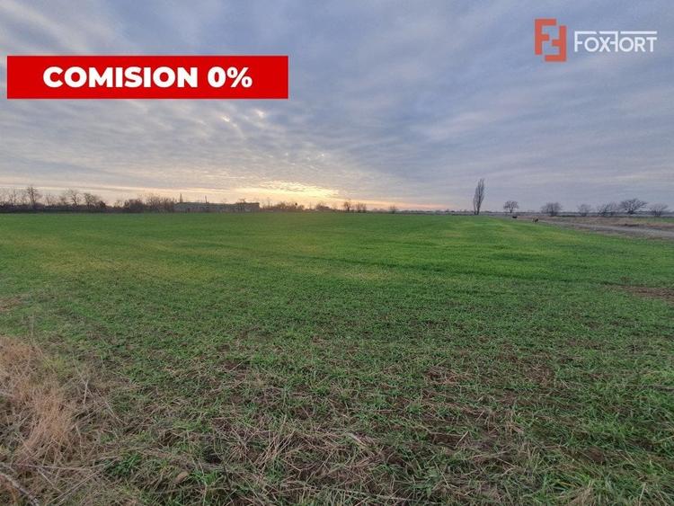 COMISION 0% Teren intravilan industrial 28.395 mp la sosea in Sag - 6