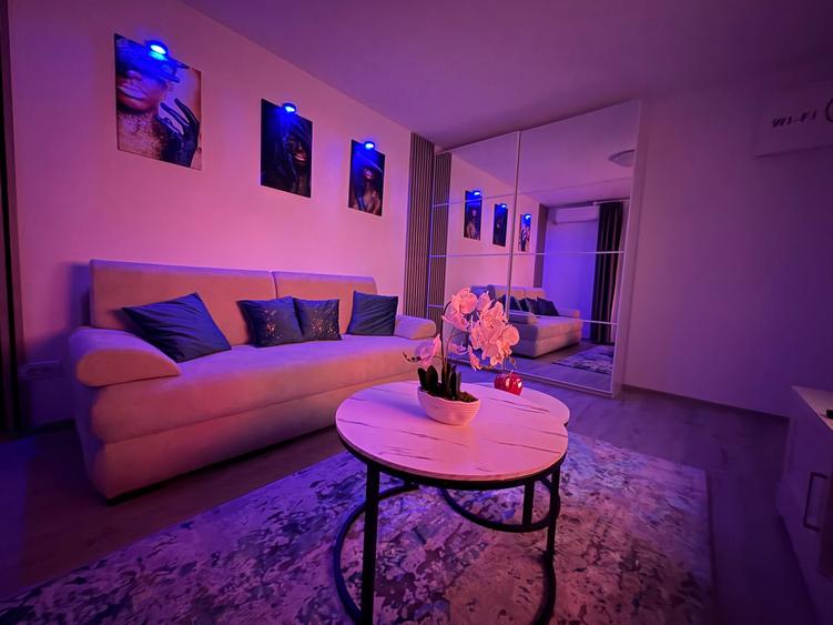 Apartament cu 1 camera de inchiriat in Giroc - 5