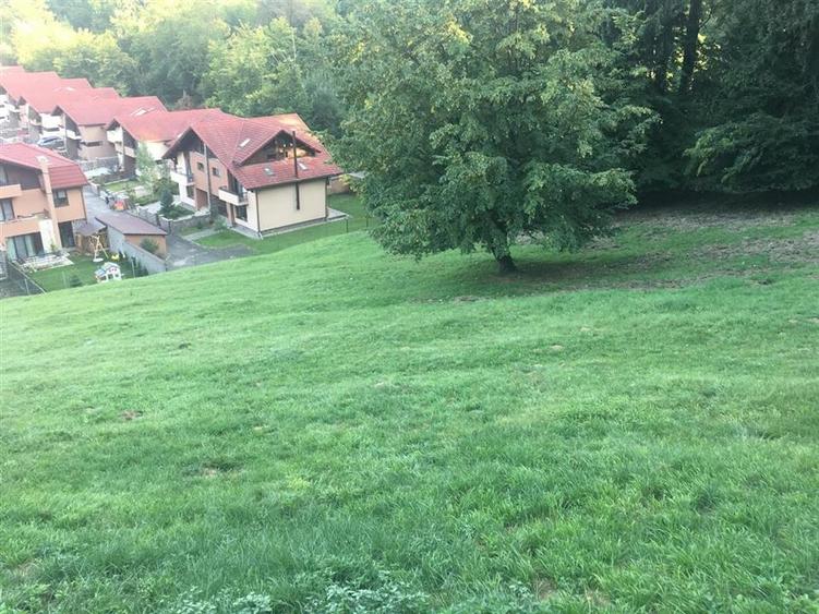 Teren pentru dezvoltatori, 2900mp Noua-Darste - 2