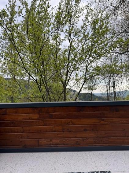 Complex A-Frame – 2 cabane construite + 3 în proiect (AC) -  suprafata 2157 mp - 13