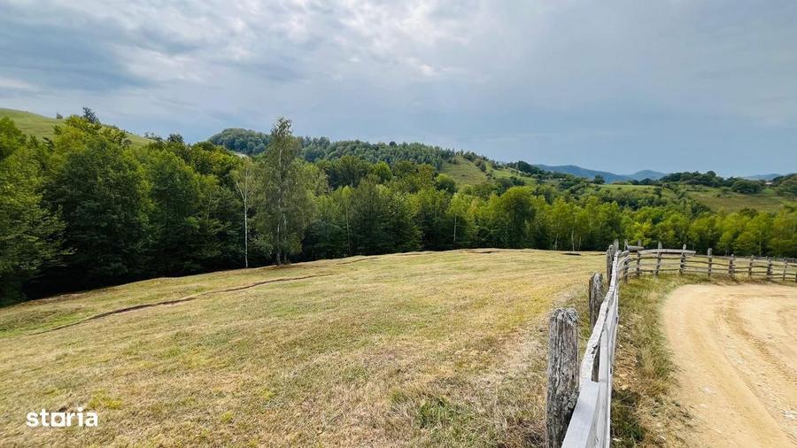 Teren De Vanzare In Zona Purcareti, Jud. Alba. 17800 Mp. - 8