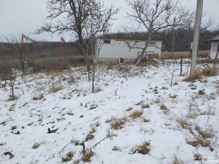 Hala pe Structura Metalica+ Casa batraneasca + 4800 m2 - 2