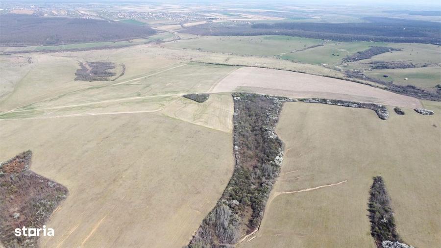 Teren 26.82 ha Ardud | Oportunitate pentru dezvoltare - 7