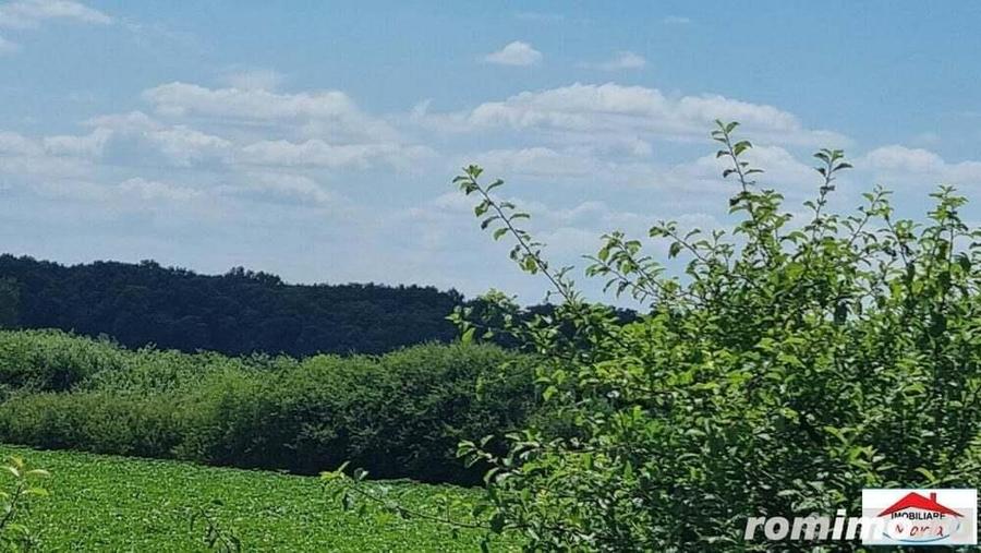 Teren extravilan 3,56 hectare in Dorolt ( ID 22873) - 4