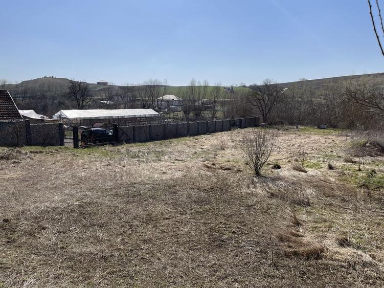 Teren de vanzare Comuna Sandulesti jud CJ - 5