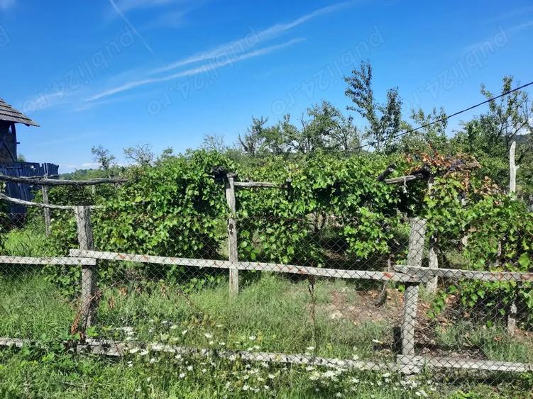 Casa de vanzare cu teren - 4