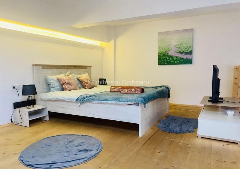 Apartament 1 camera, 40 mp, Ultracentral, parter