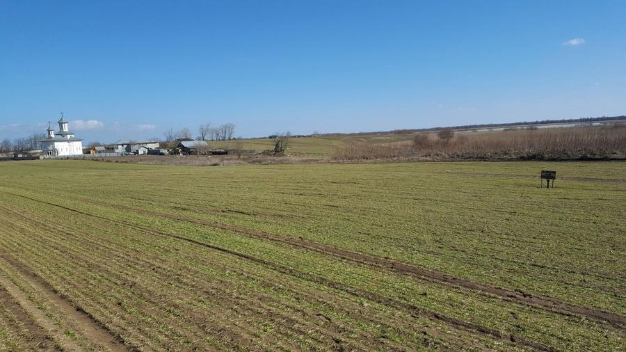 Teren în Deltă–locație excelentă pentru dezvoltare turistică - 5