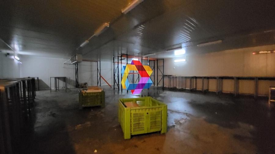 Spatiu industrial - 580 mp  # plus-imo.ro - 9