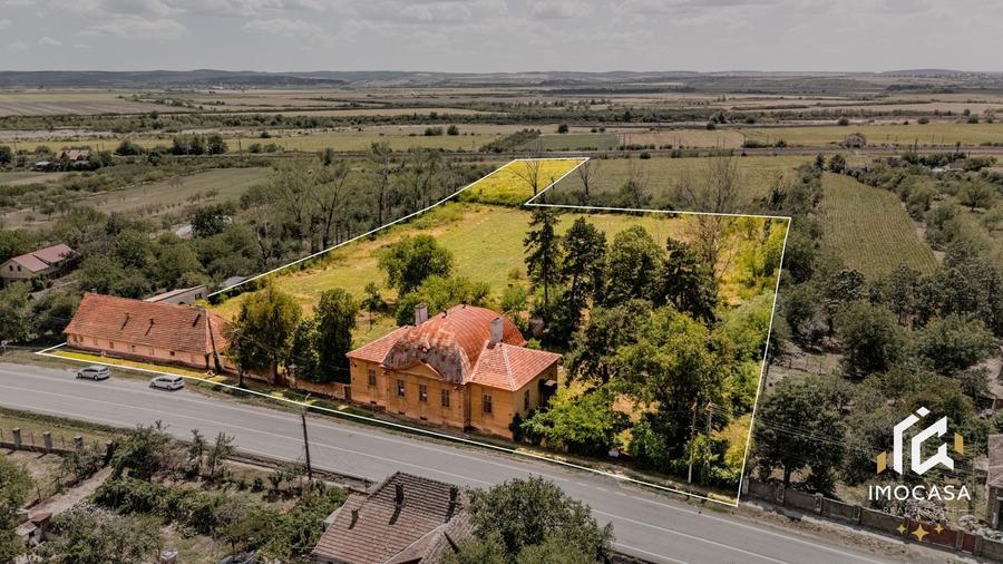 Vila Conac boieresc contelui Fabia 1920 de vânzare Păuliș Arad 2,4 ha - 1