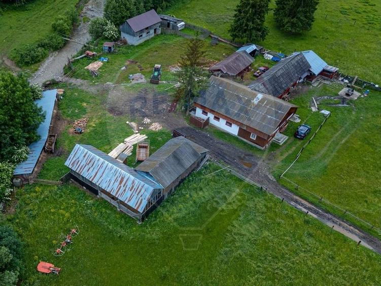 Ferma de vanzare, teren 21436 mp intravilan, Cosnea, Agas - 3