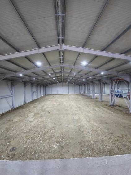 Hala de vanzare Balotesti - 4