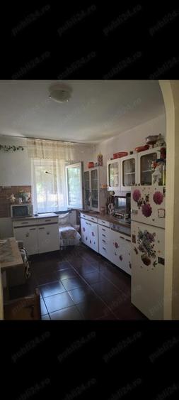 Apartament 2 camere Sagului de vanzare - 5