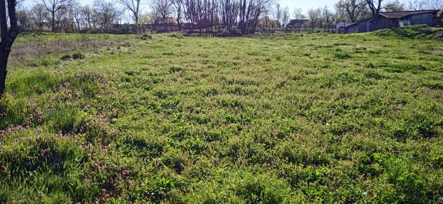 Teren intravilan de vanzare in Hezeris - 1810 mp, front stradal generos - 3