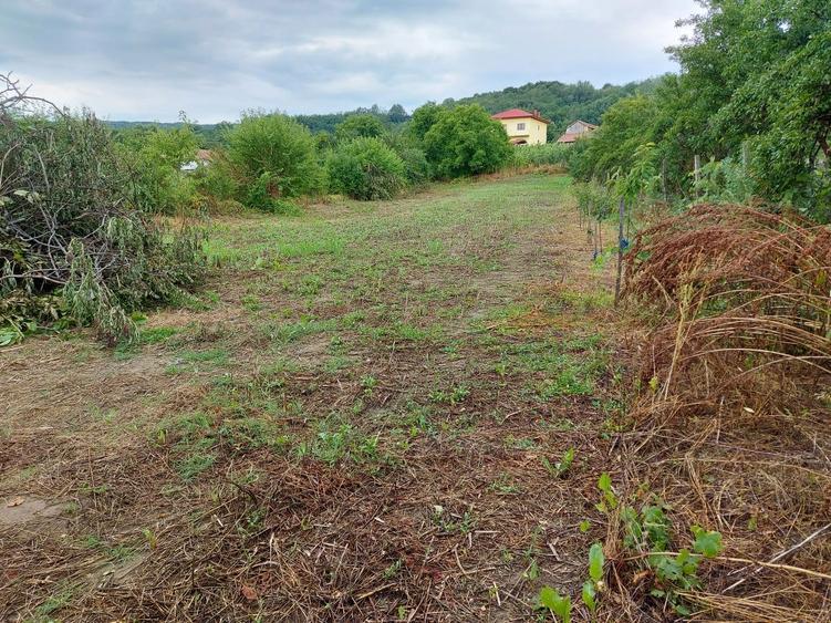 Casa 95mp cu teren 2280mp in Ionesti, Valcea,toate utilitatile - 4