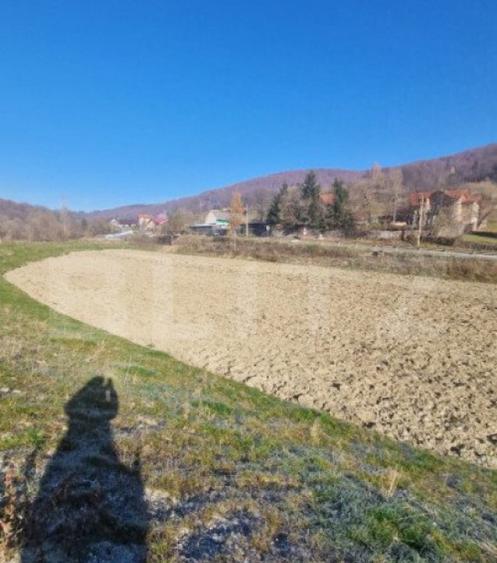 Teren extravilan - Sita Buzaului -6800 mp posibilitate trece - 7