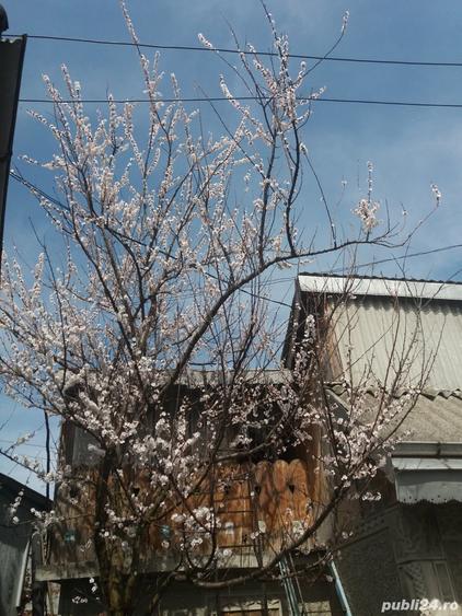 Vand casa oras Pascani - 2