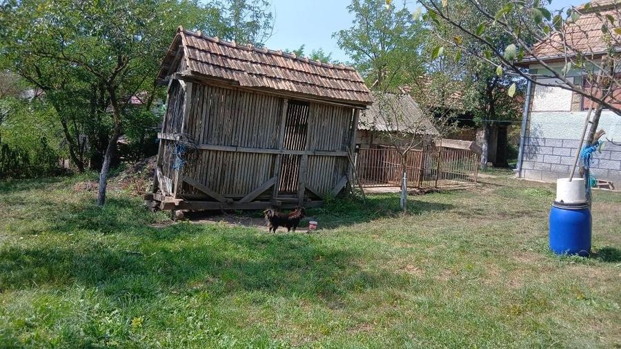 Casa de vanzare Soporu de Campie - 6