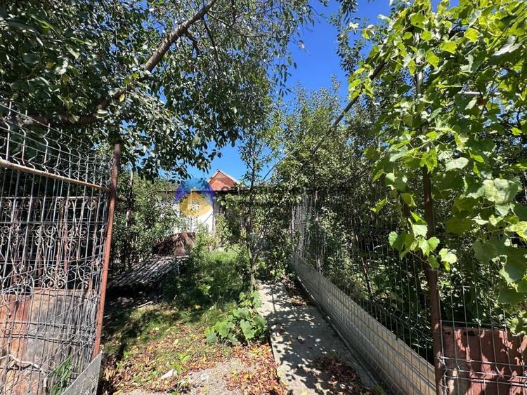 Casa + teren de vanzare - Zanesti - 11