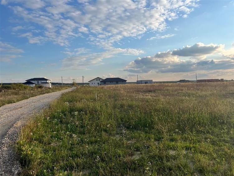 RECO Teren intravilan 5048 mp -Str. Apatelui-zona Grigorescu - 4