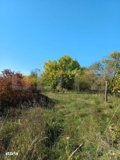 Teren de 2877 mp, în Săndulești