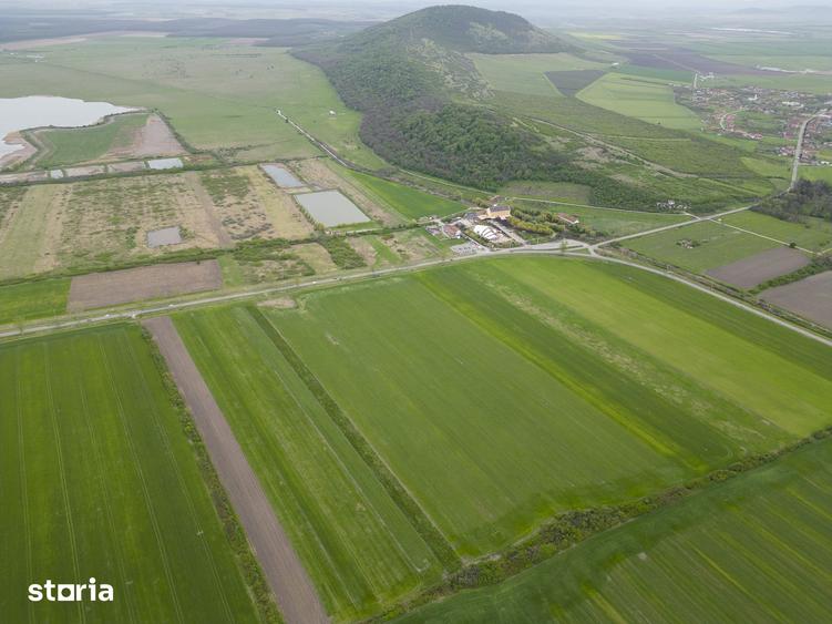 Teren de 22500 mp, în Ineu